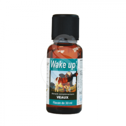 Wake Up