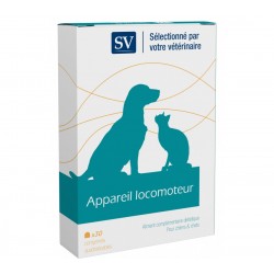 Appareil locomoteur