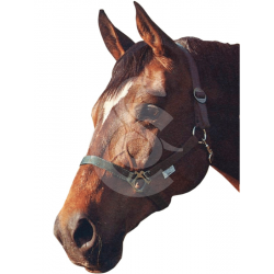 MATERIEL Licol Classic en nylon pour chevaux