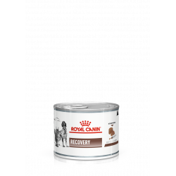 Veterinary Diet Cat/Dog Recovery Boîte