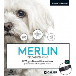 COLLIER MERLIN PT  MOYEN CHIEN