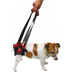 GENIA Harnais Handy-Canis pour chien paralysé du train arrière