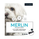 COLLIER MERLIN PT  MOYEN CHIEN