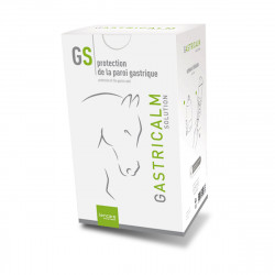 Gastricalm NF flacon 480 ML - Confort gastrique - Lencare