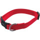 COLLIER UNI 2539CM ROUGE L10MM