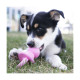 JOUET KONG PUPPY BINKIE