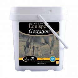 EQUISPORT GESTATION 25 KG