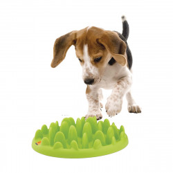 GAMELLE ANTI GLOUTON MINI