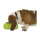 GAMELLE BOWL VERT 1L