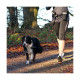 CEINTURE JOGGING AVEC LAISSE