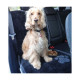 TAPIS PROTECTSIEGE VOITURE