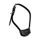COLLIER DRESSAGE CANICOM SPRAY