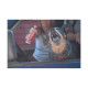 PET CORRECTOR 50 ML
