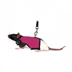 HARNAIS RAT SOFT AVEC LAISSE