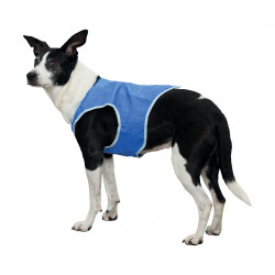 VESTE RAFRAICHISSANTE XS 30CM