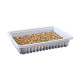 HERBE POUR RONGEURS 100G