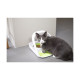DISTRIBUTEUR CONNECT SUREFEED