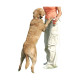 PET CORRECTOR 30 ML