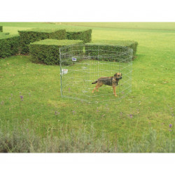 Dog Park