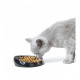 Gamelle Whisker