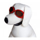 Lunettes de soleil et de protection pour chien