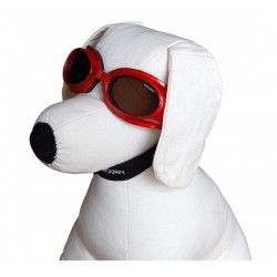 Lunettes de soleil et de protection pour chien