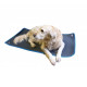 Cosypad