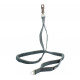 Laisse Canicross Style IDog