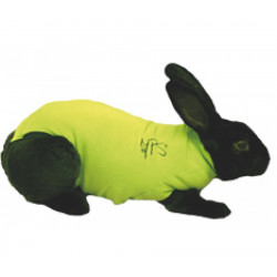 Medical Pet Shirt lapin