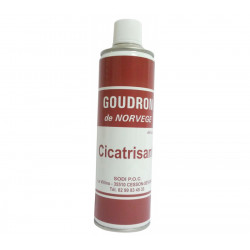 Goudron Norvège