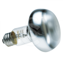Ampoule chauffante pour petits animaux