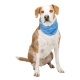 Bandana rafraîchissant