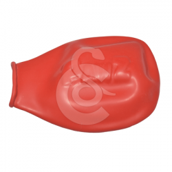 Bottine de protection Pawz