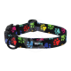 Collier Hop Dog Paw Wow