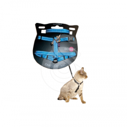 Ensemble harnaislaisse chat Bobby Safe