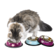 Gamelle en inox laqué pour chat