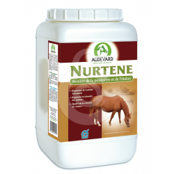 AUDEVARD Nurtene