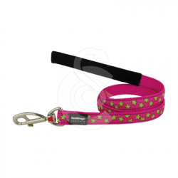 Laisse Red Dingo