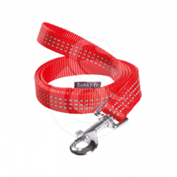 Laisse Easy Safe