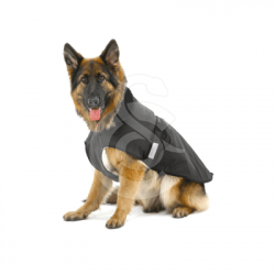 Manteau imperméable avec doublure amovible