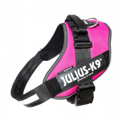 HARNAIS JULIUS IDC POW.82115 FUCH