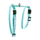 HARNAIS CHAT DODO TURQUOISE