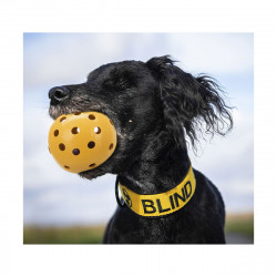 JOUET BALLE CHIEN AVEC TROUS