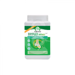 Ekyflex Arthro EVO