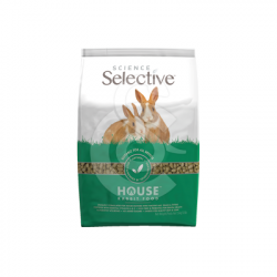 Selective House Rabbit