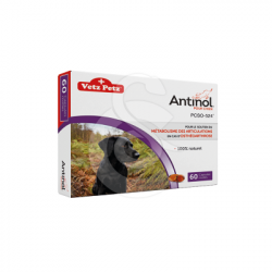 Antinol chien