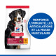 Science Plan Adult croquettes pour grand chien au poulet