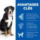 Science Plan Adult croquettes pour grand chien au poulet