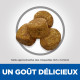 Science Plan Adult Light croquettes pour chien au poulet
