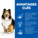 Science Plan Adult Sensitive Stomach & Skin croquettes pour chien au poulet
